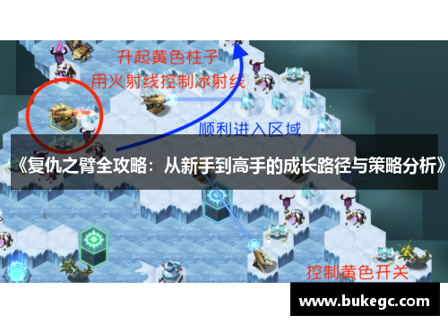 《复仇之臂全攻略：从新手到高手的成长路径与策略分析》
