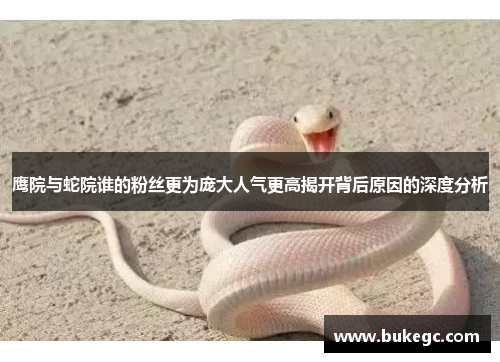 鹰院与蛇院谁的粉丝更为庞大人气更高揭开背后原因的深度分析
