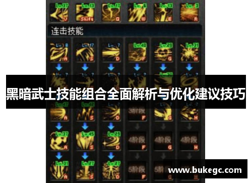 黑暗武士技能组合全面解析与优化建议技巧